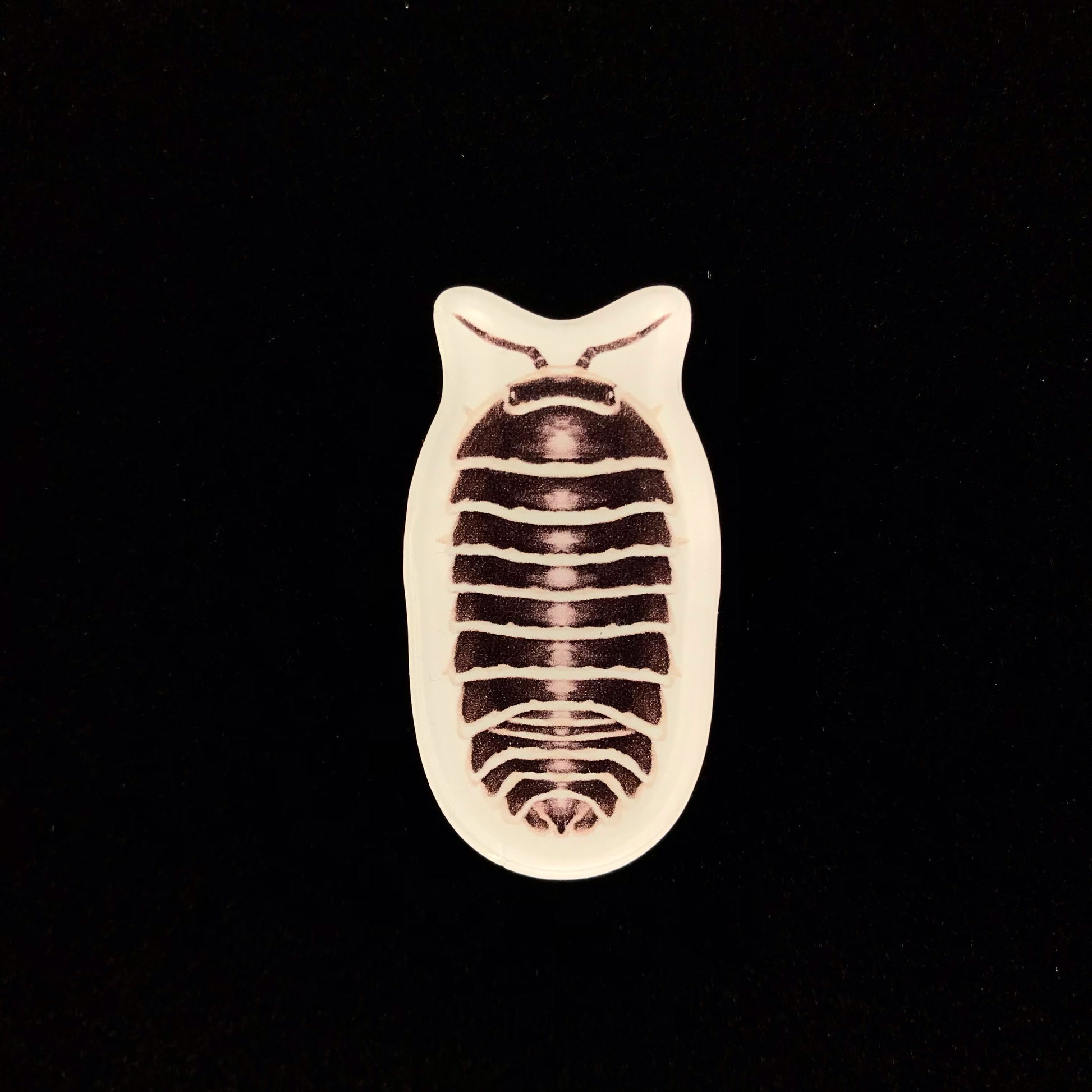 Zebra Isopod Acrylic Magnet Enclosure Tag (Armadillidium maculatum) from The Silk Ranch / The Morph Archive