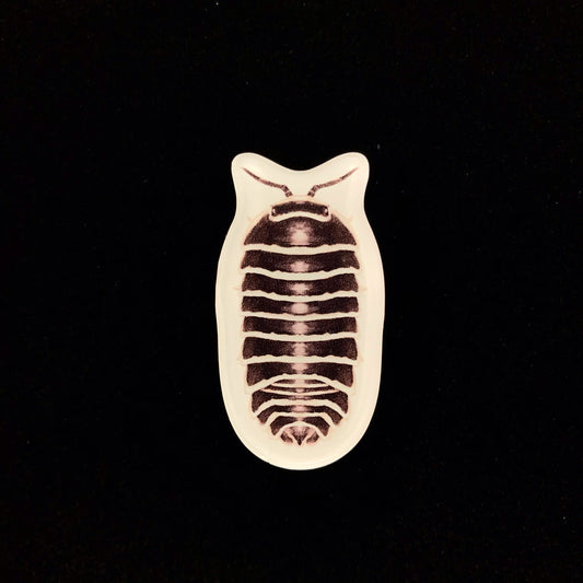 Zebra Isopod Acrylic Magnet Enclosure Tag (Armadillidium maculatum) from The Silk Ranch / The Morph Archive
