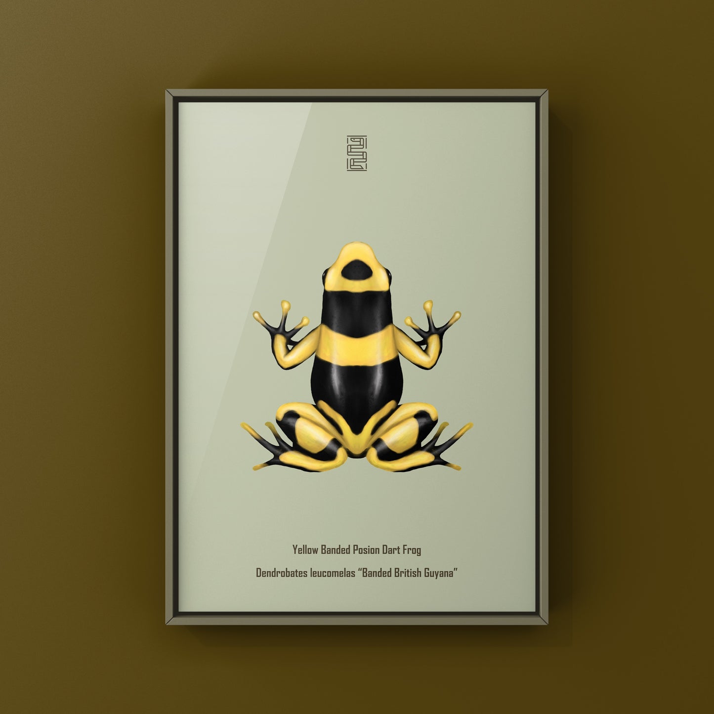 Banded British Guyana Poison Dart Frog (Dendrobates leucomelas) Art Print from The Silk Ranch