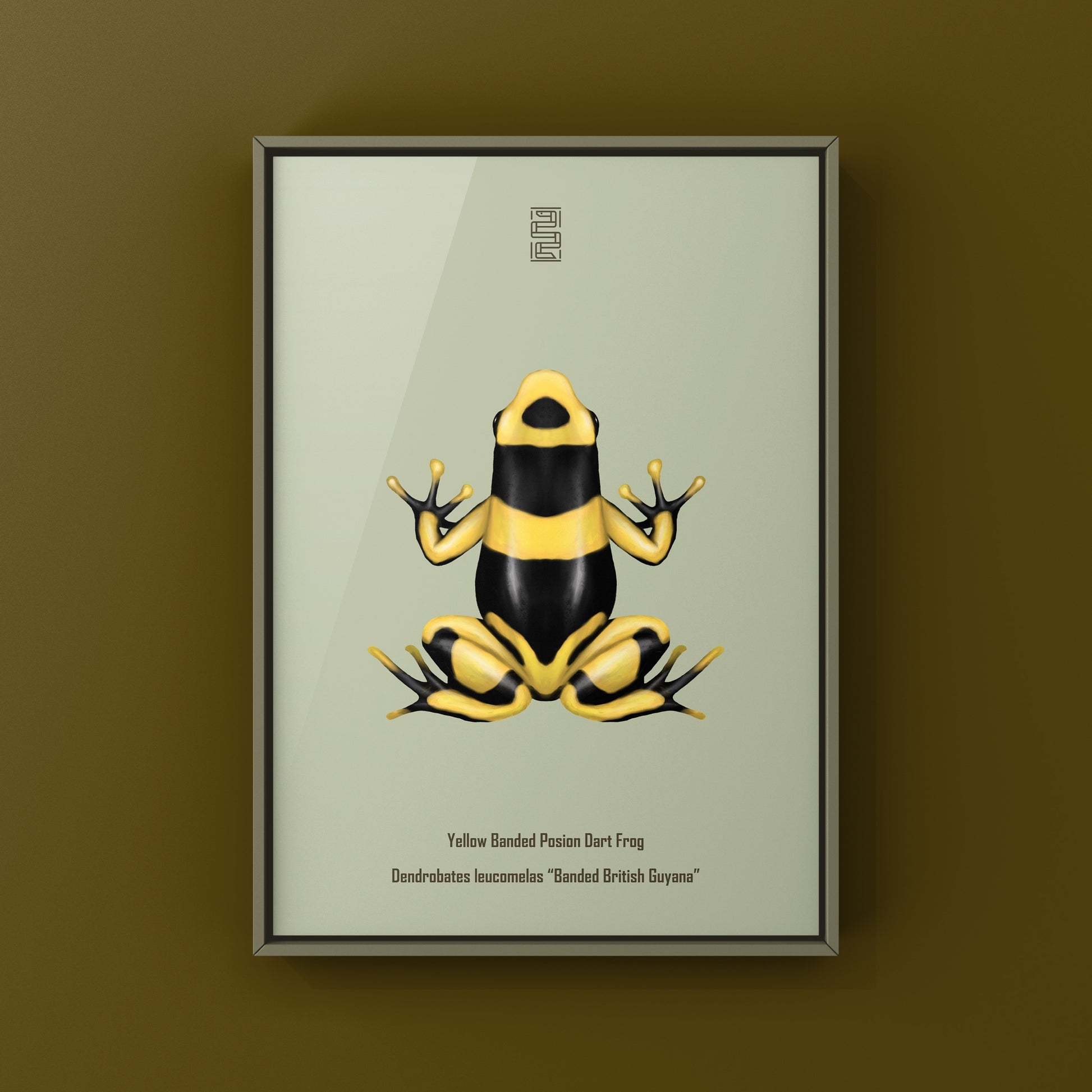 Banded British Guyana Poison Dart Frog (Dendrobates leucomelas) Art Print from The Silk Ranch