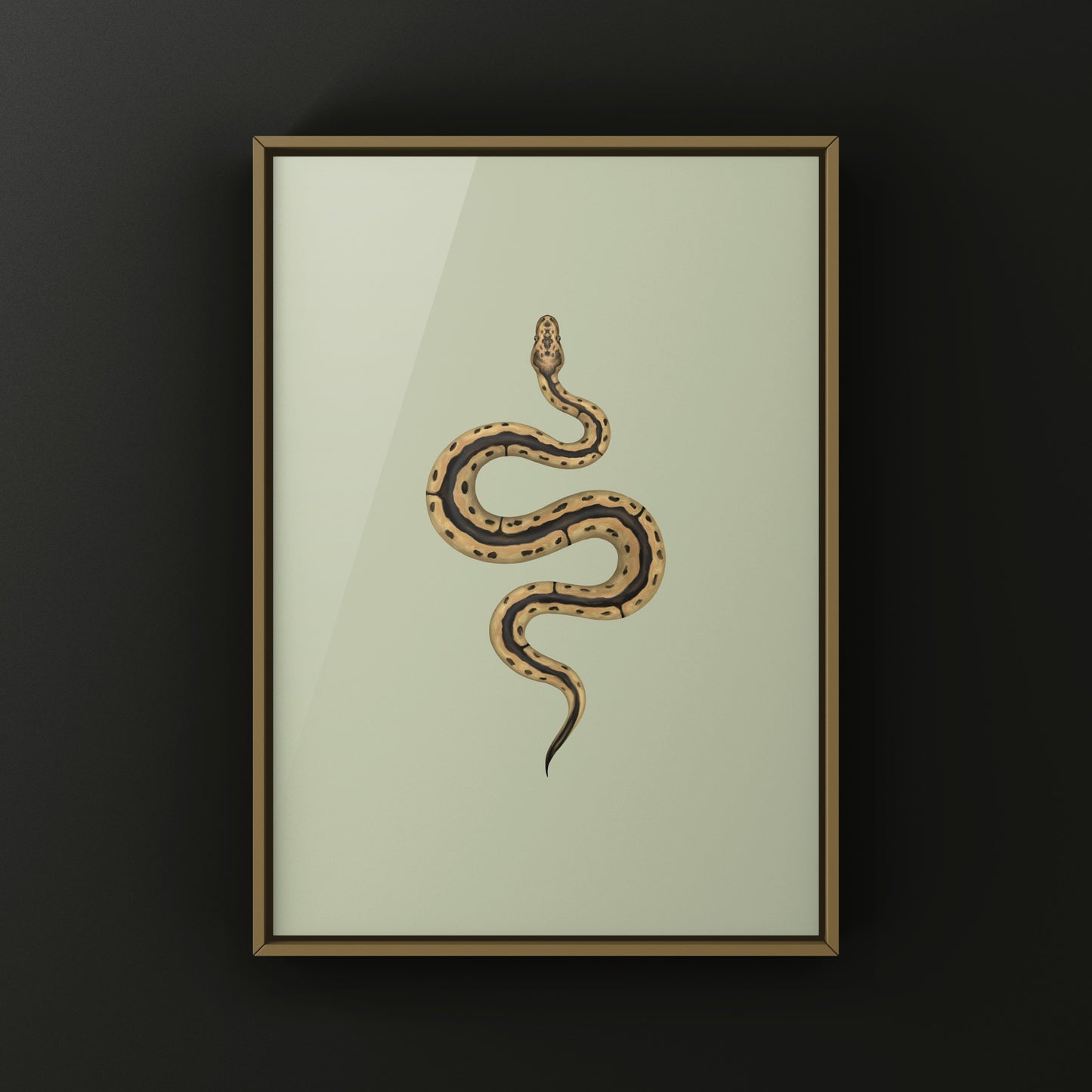 Clown Ball Python Art Print from The Silk Ranch