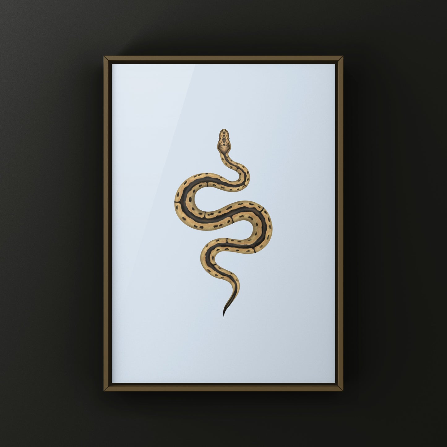 Clown Ball Python Art Print from The Silk Ranch
