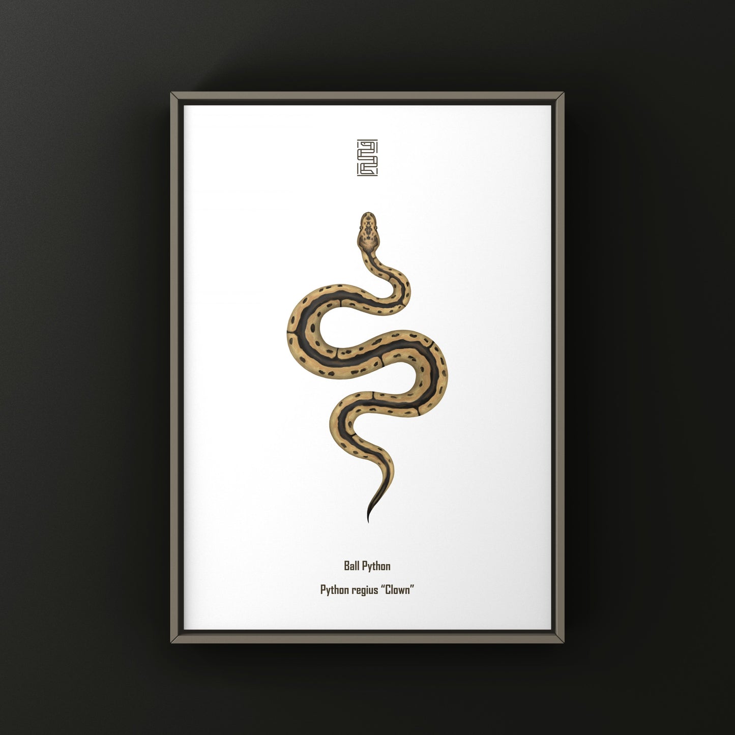 Clown Ball Python Art Print from The Silk Ranch
