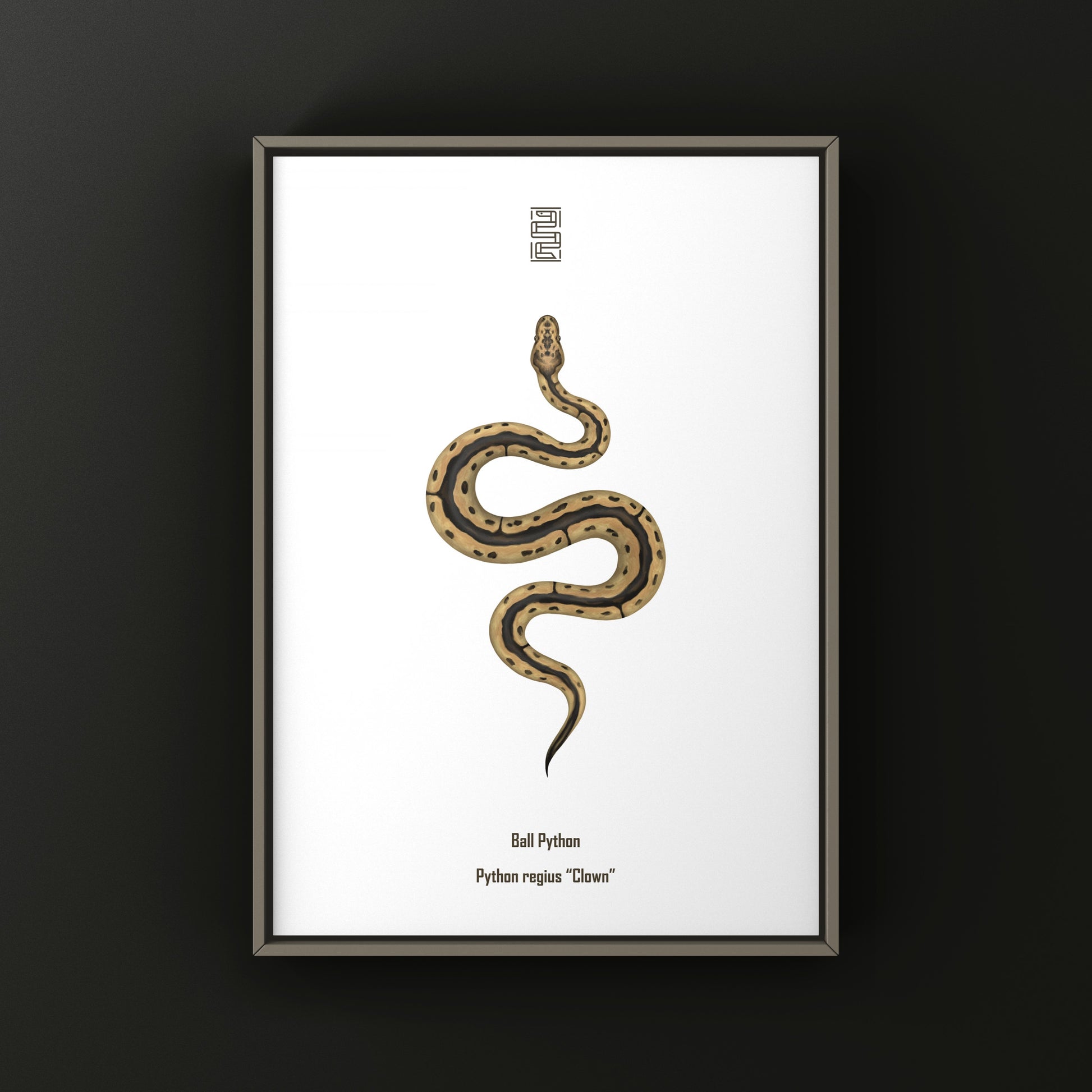 Clown Ball Python Art Print from The Silk Ranch