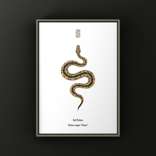 Clown Ball Python Art Print from The Silk Ranch