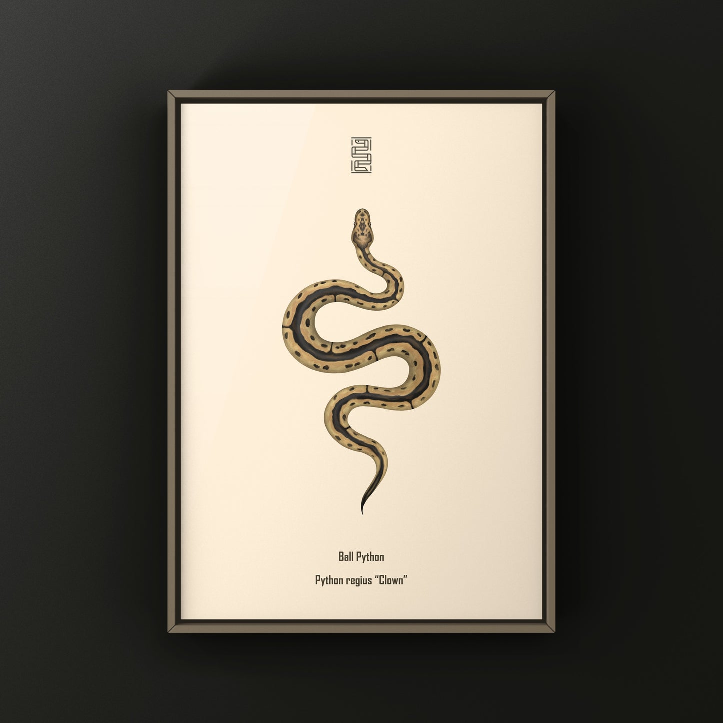 Clown Ball Python Art Print from The Silk Ranch