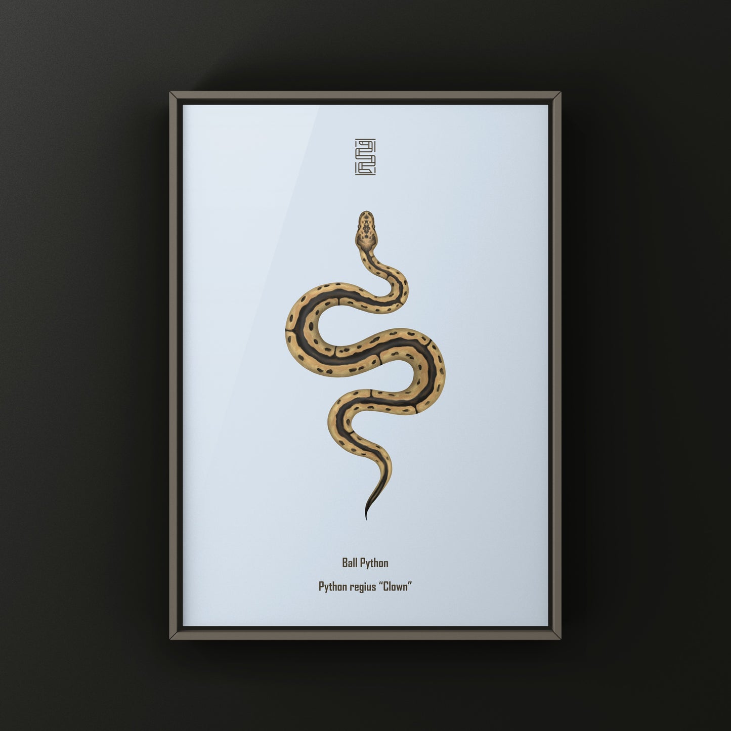 Clown Ball Python Art Print from The Silk Ranch