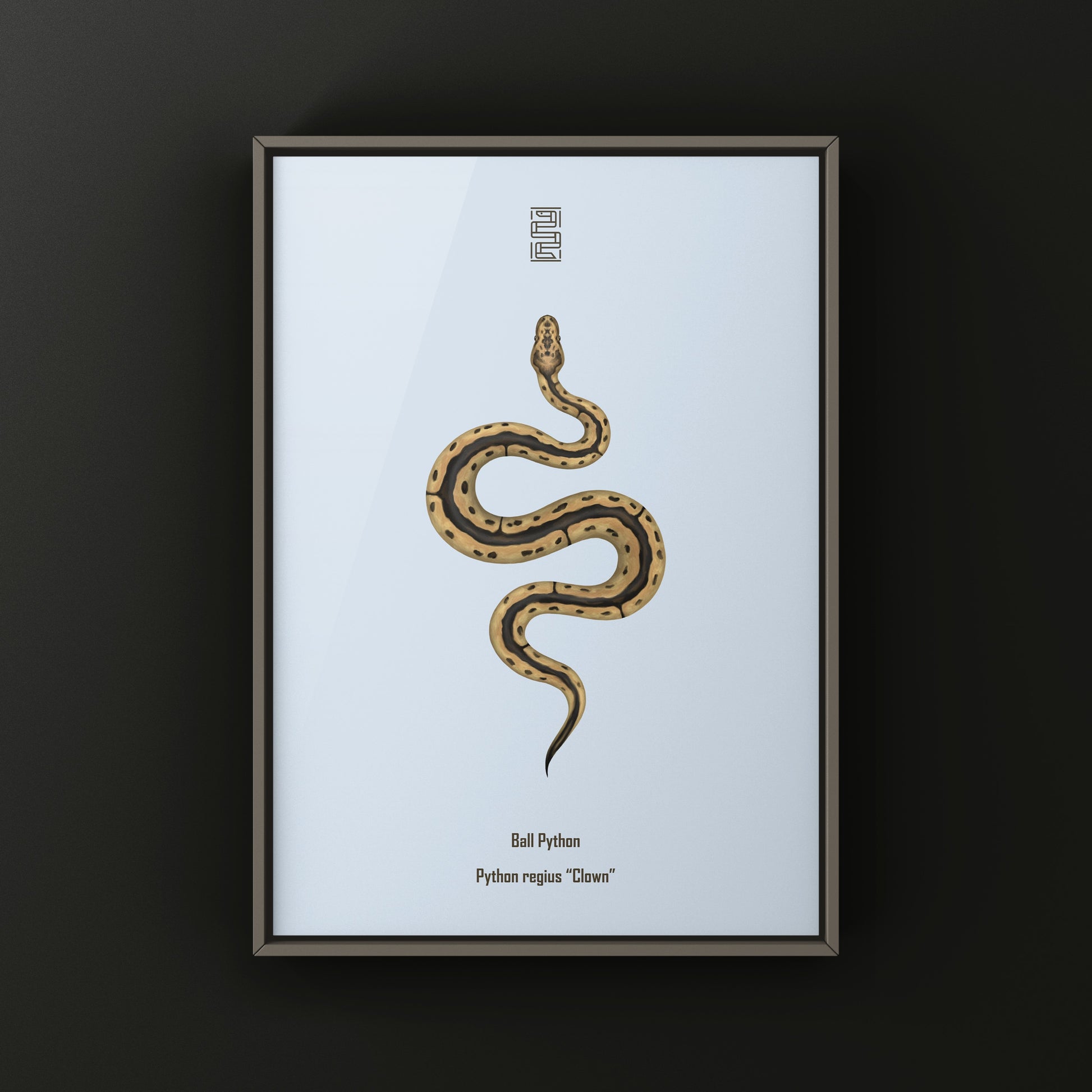 Clown Ball Python Art Print from The Silk Ranch