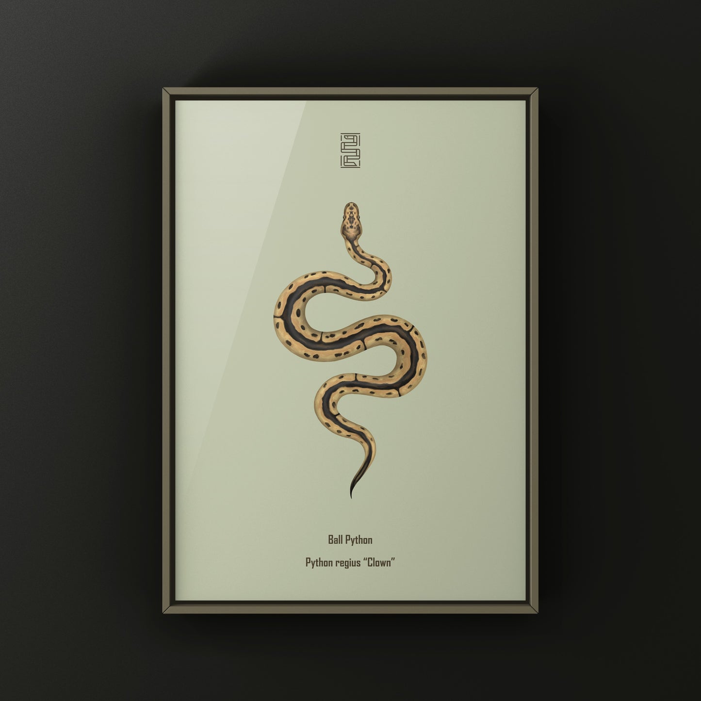 Clown Ball Python Art Print from The Silk Ranch