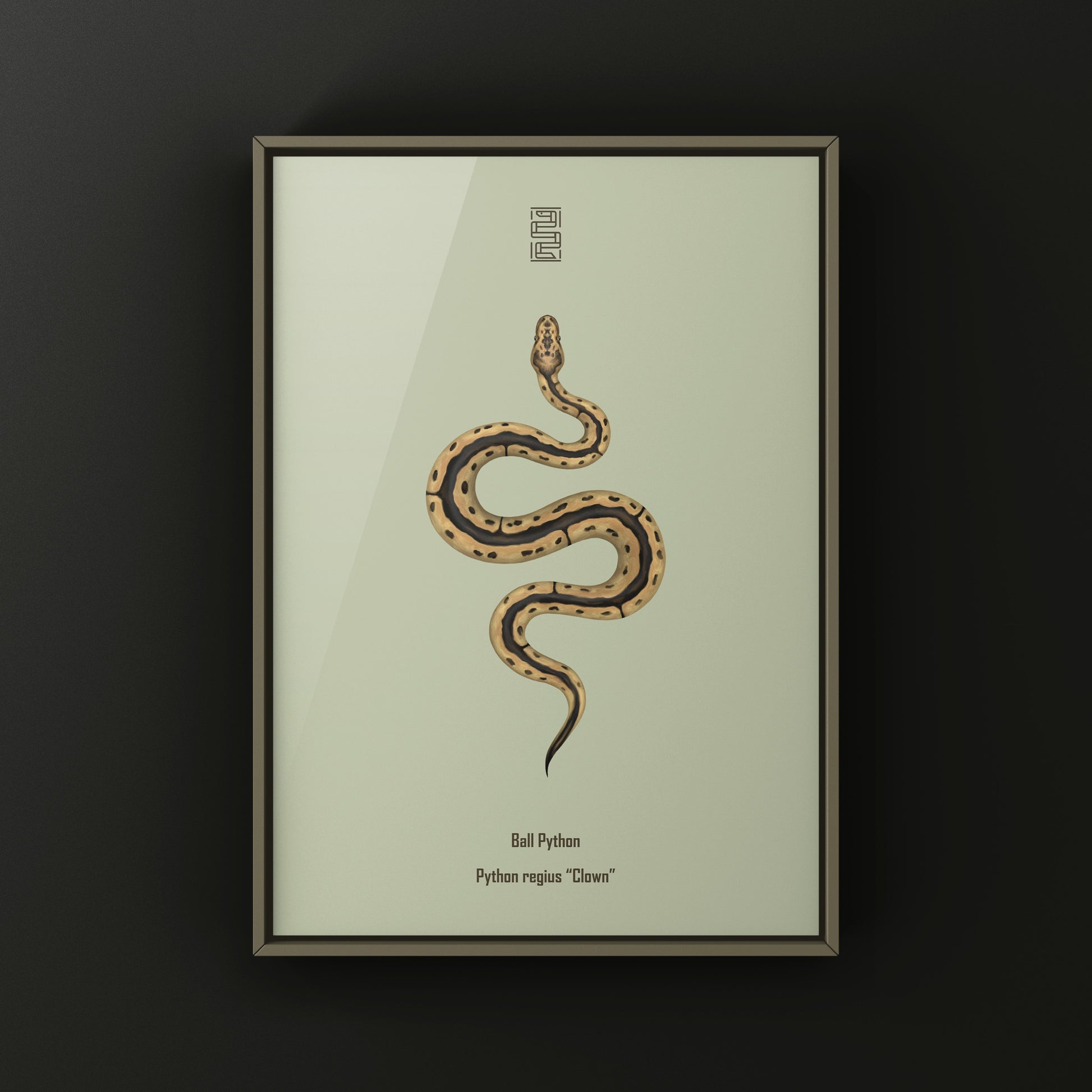 Clown Ball Python Art Print from The Silk Ranch