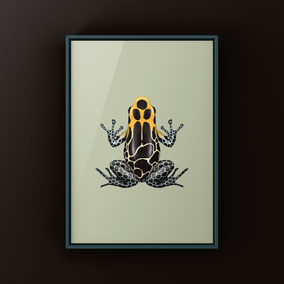 Lowland Red-headed Poison Frog Art Print (Ranitomeya fantastica)