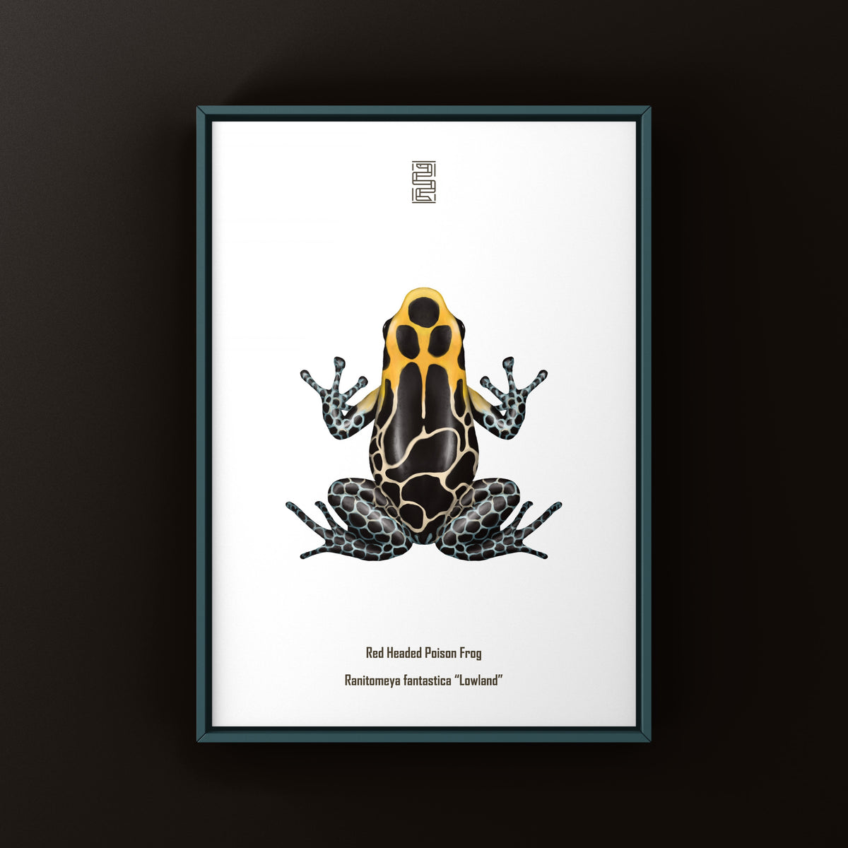 Lowland Red-headed Poison Frog Art Print (Ranitomeya fantastica)