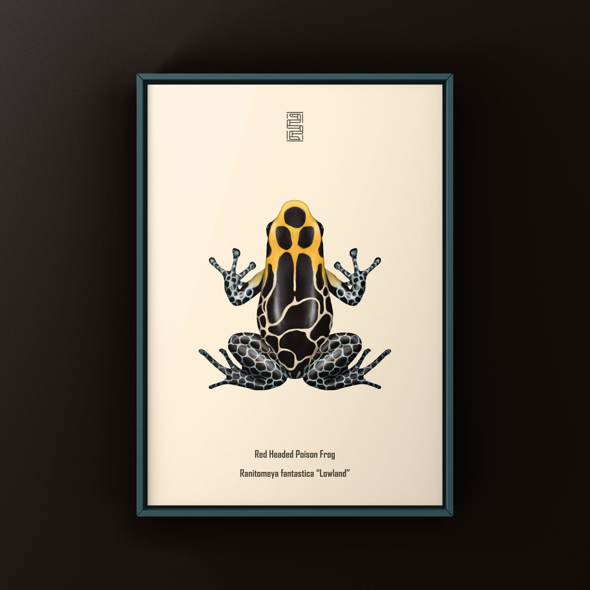Lowland Red-headed Poison Frog Art Print (Ranitomeya fantastica)