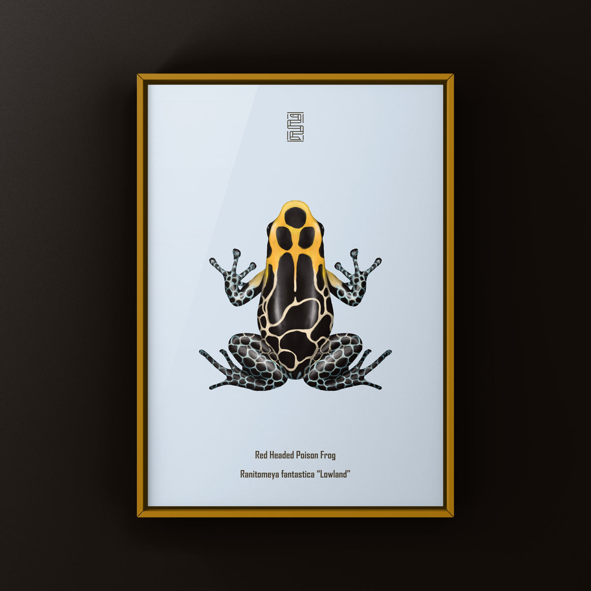 Lowland Red-headed Poison Frog Art Print (Ranitomeya fantastica)