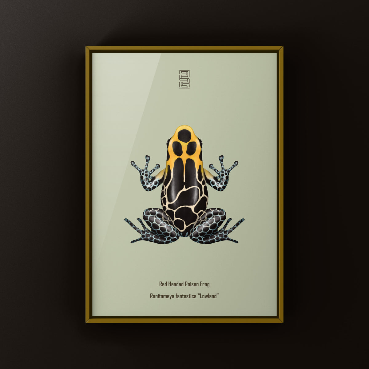 Lowland Red-headed Poison Frog Art Print (Ranitomeya fantastica)