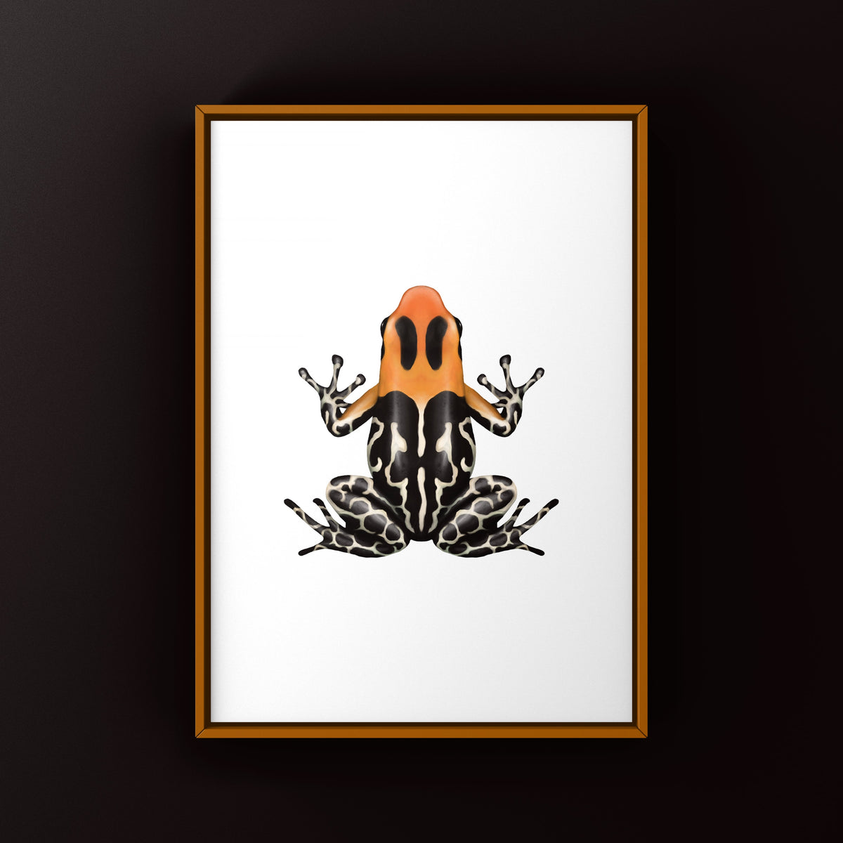 Monte Cristo Red-headed Poison Frog Art Print (Ranitomeya fantastica)