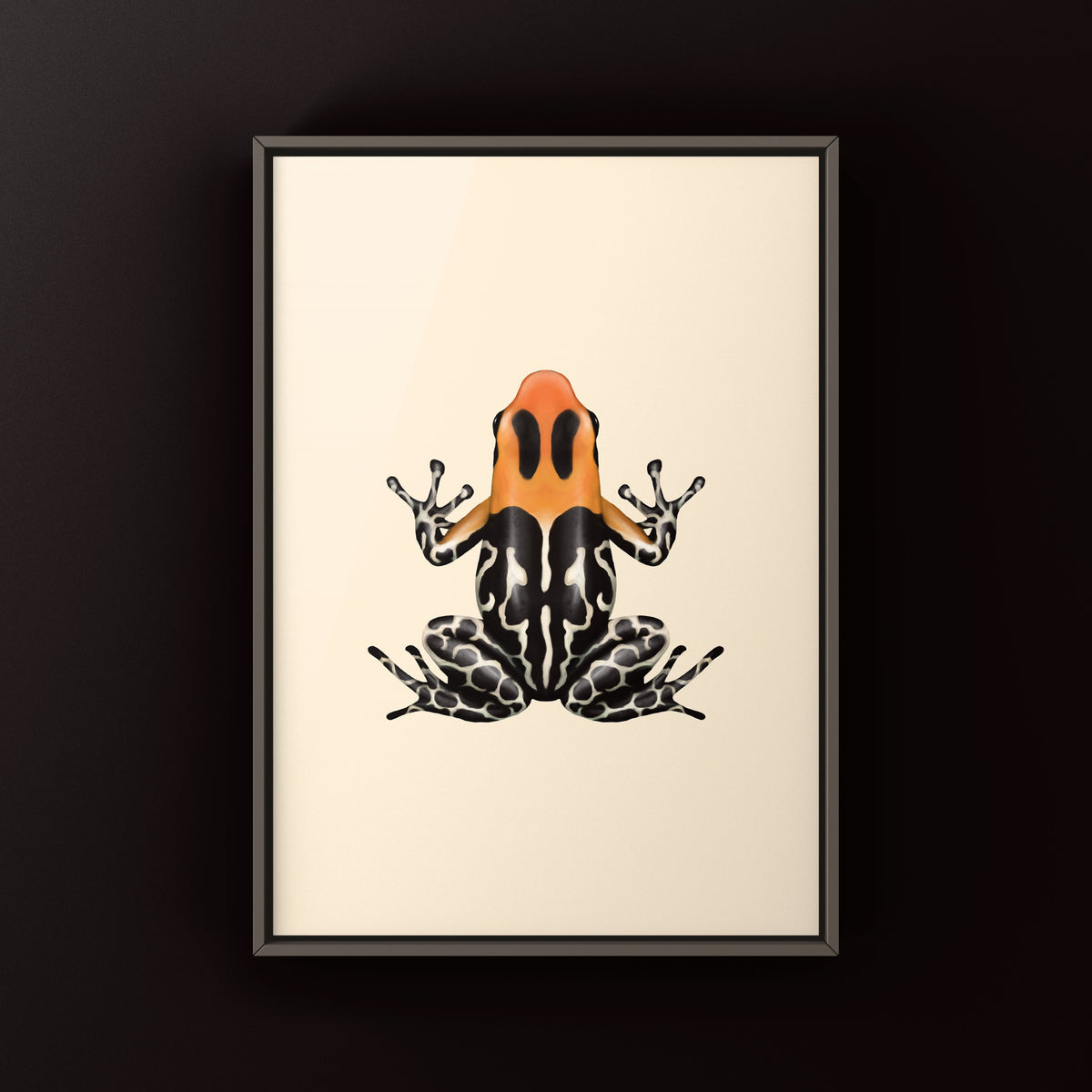 Monte Cristo Red-headed Poison Frog Art Print (Ranitomeya fantastica)