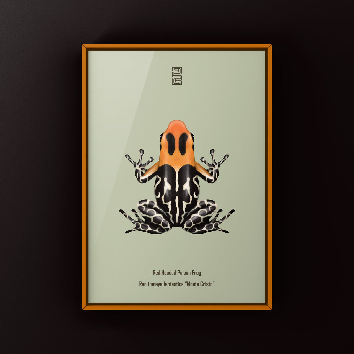 Monte Cristo Red-headed Poison Frog Art Print (Ranitomeya fantastica)