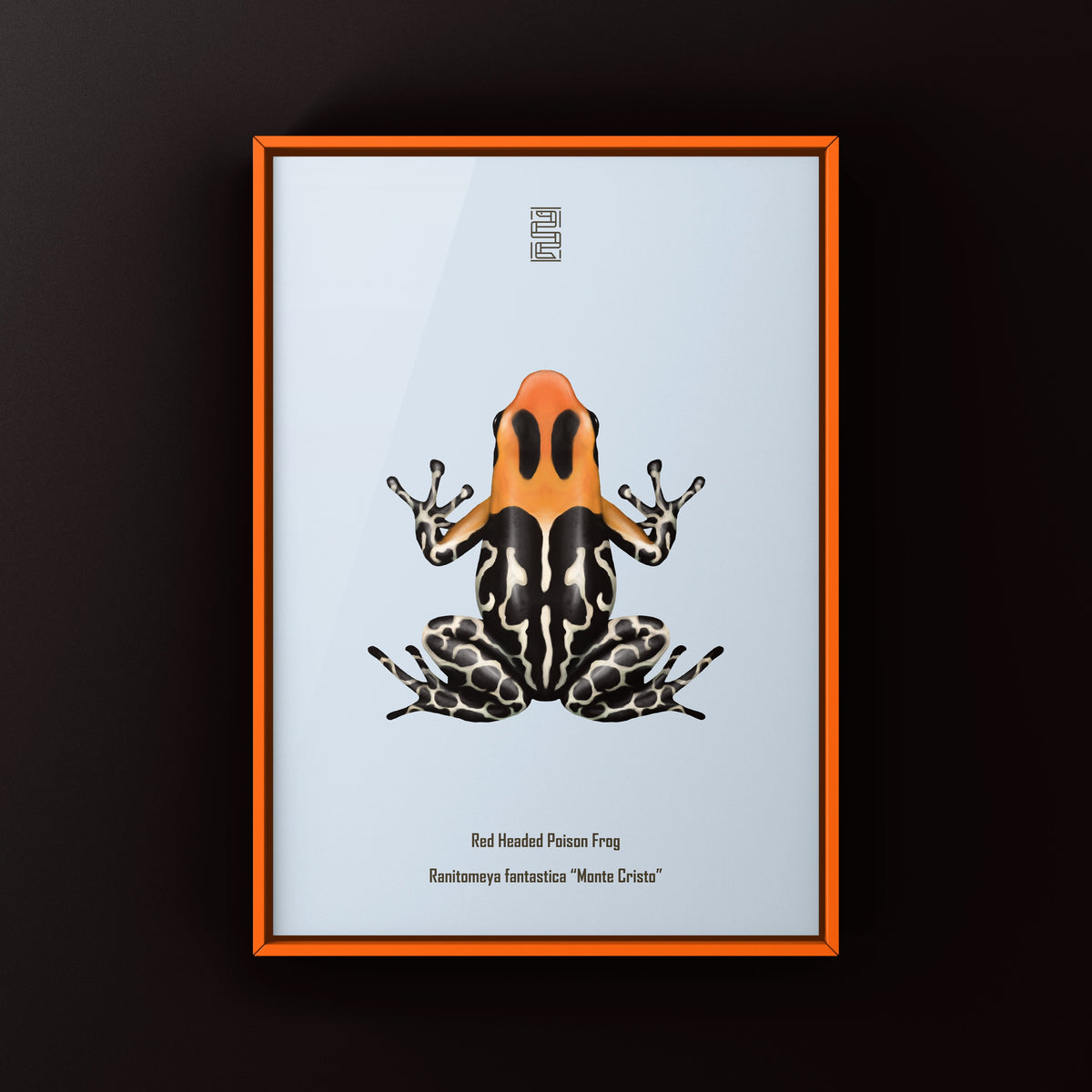 Monte Cristo Red-headed Poison Frog Art Print (Ranitomeya fantastica)
