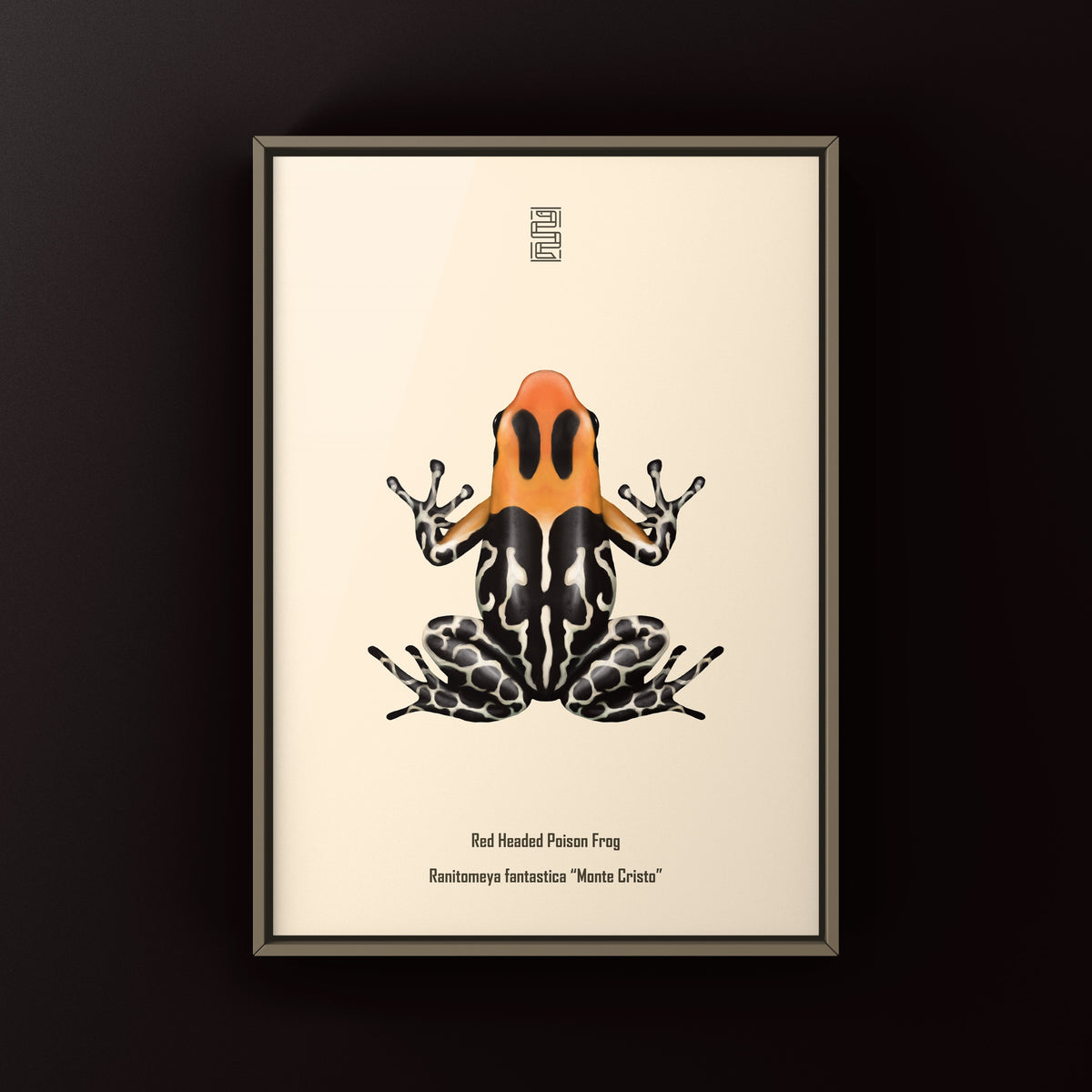 Monte Cristo Red-headed Poison Frog Art Print (Ranitomeya fantastica)