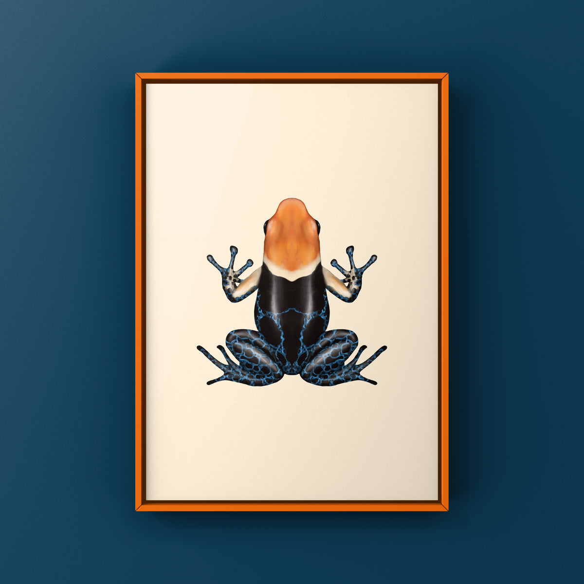 True Nominal Red-headed Poison Frog Art Print (Ranitomeya fantastica)