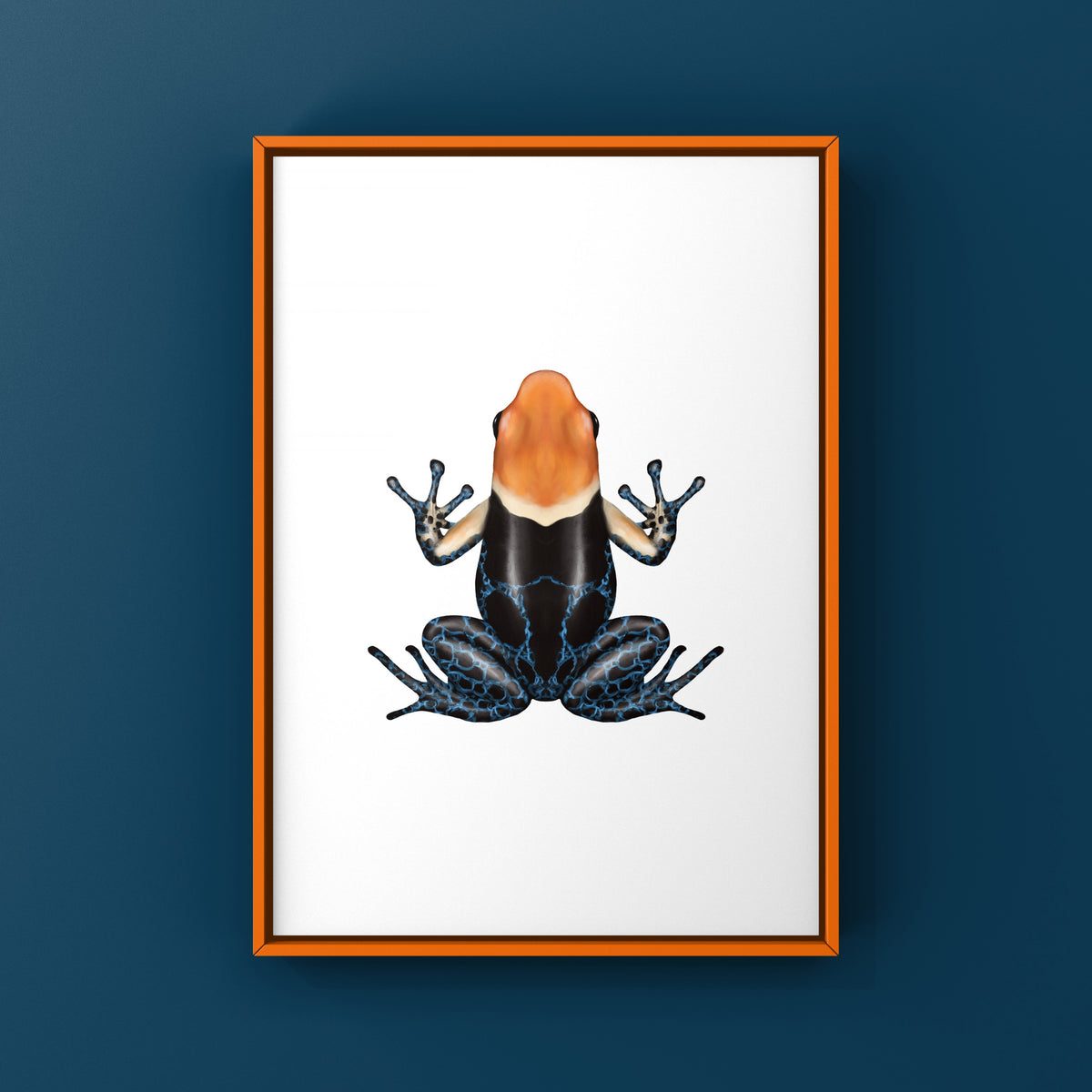True Nominal Red-headed Poison Frog Art Print (Ranitomeya fantastica)