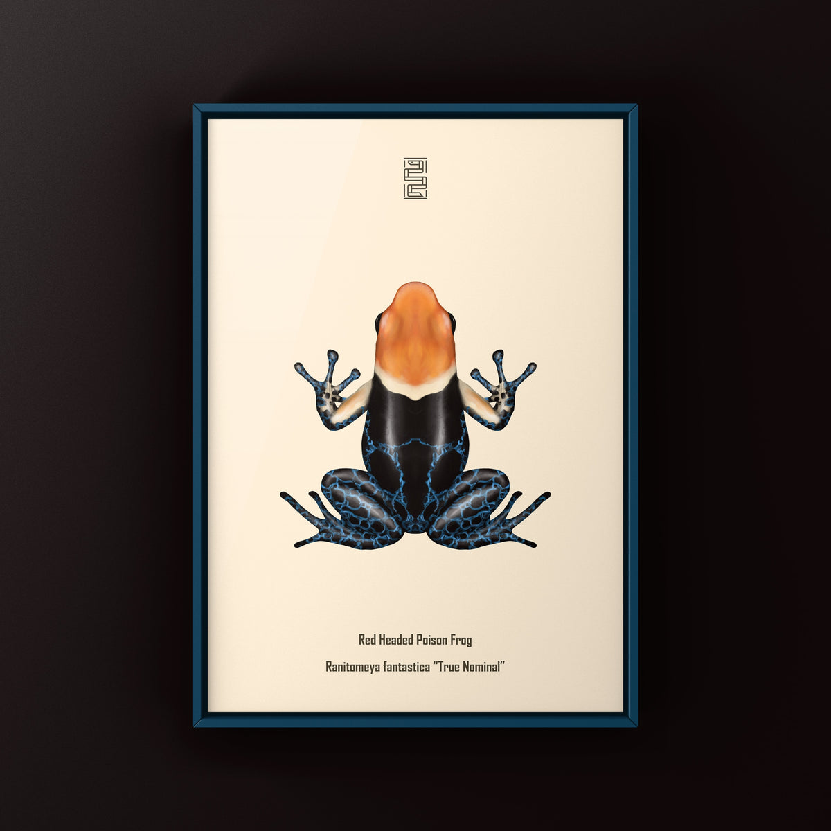 True Nominal Red-headed Poison Frog Art Print (Ranitomeya fantastica)