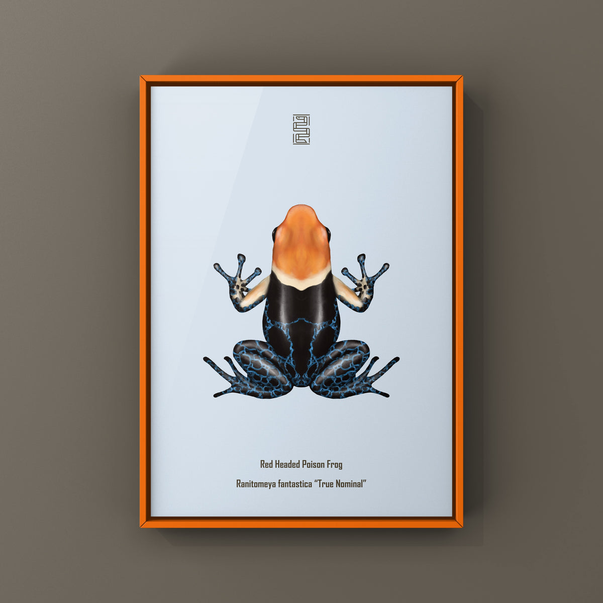 True Nominal Red-headed Poison Frog Art Print (Ranitomeya fantastica)