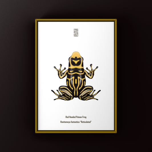 Reticulated Red-headed Poison Frog Art Print (Ranitomeya fantastica)