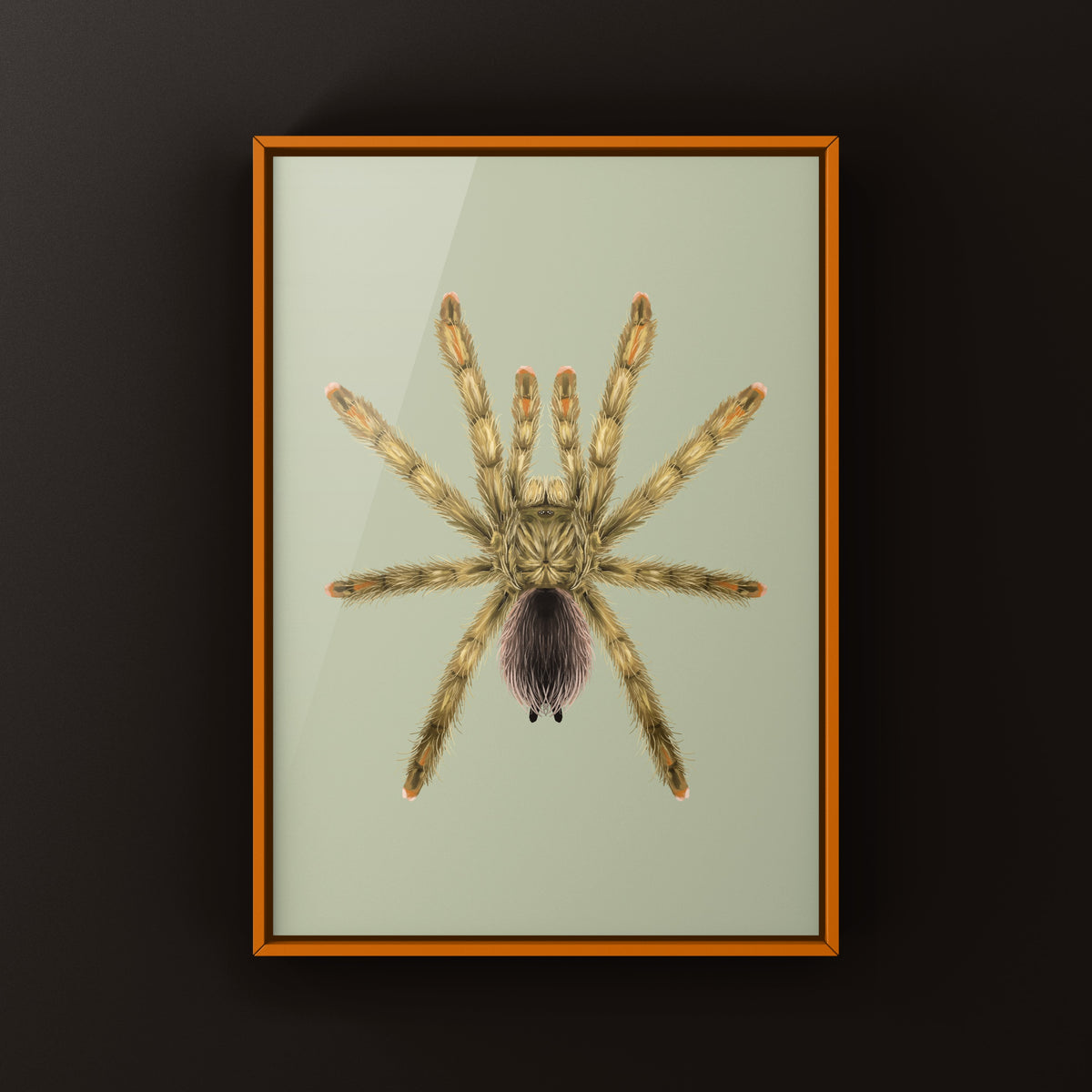 Golden Pinktoe Tarantula Art Print (Avicularia aurantiaca) from The Silk Ranch