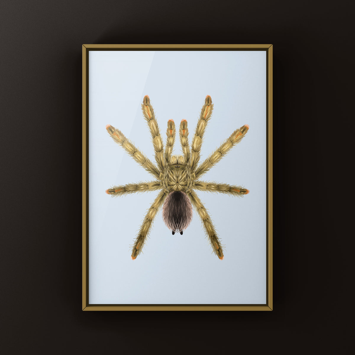 Golden Pinktoe Tarantula Art Print (Avicularia aurantiaca) from The Silk Ranch