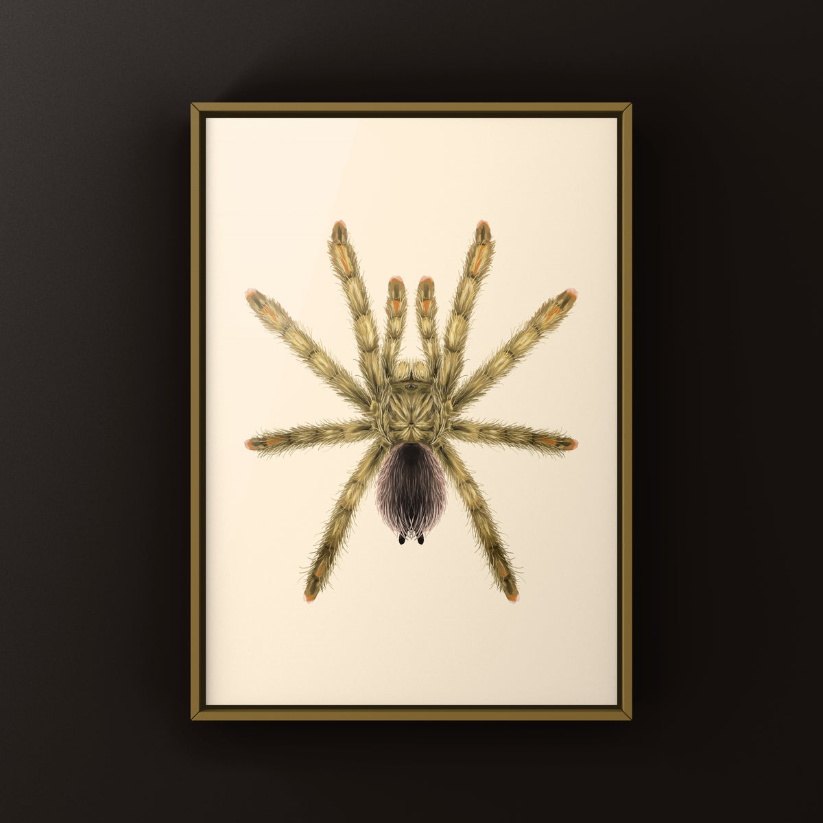 Golden Pinktoe Tarantula Art Print (Avicularia aurantiaca) from The Silk Ranch