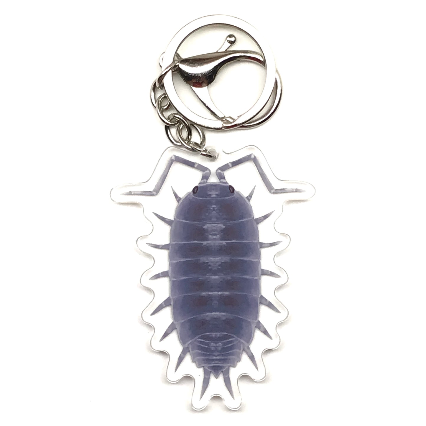Powder Blue Isopod Keychain, Porcellionides Pruinosus Powder Blue Acrylic Charm from The Silk Ranch