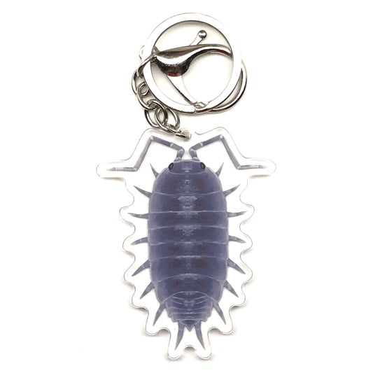 Powder Blue Isopod Keychain, Porcellionides Pruinosus Powder Blue Acrylic Charm from The Silk Ranch