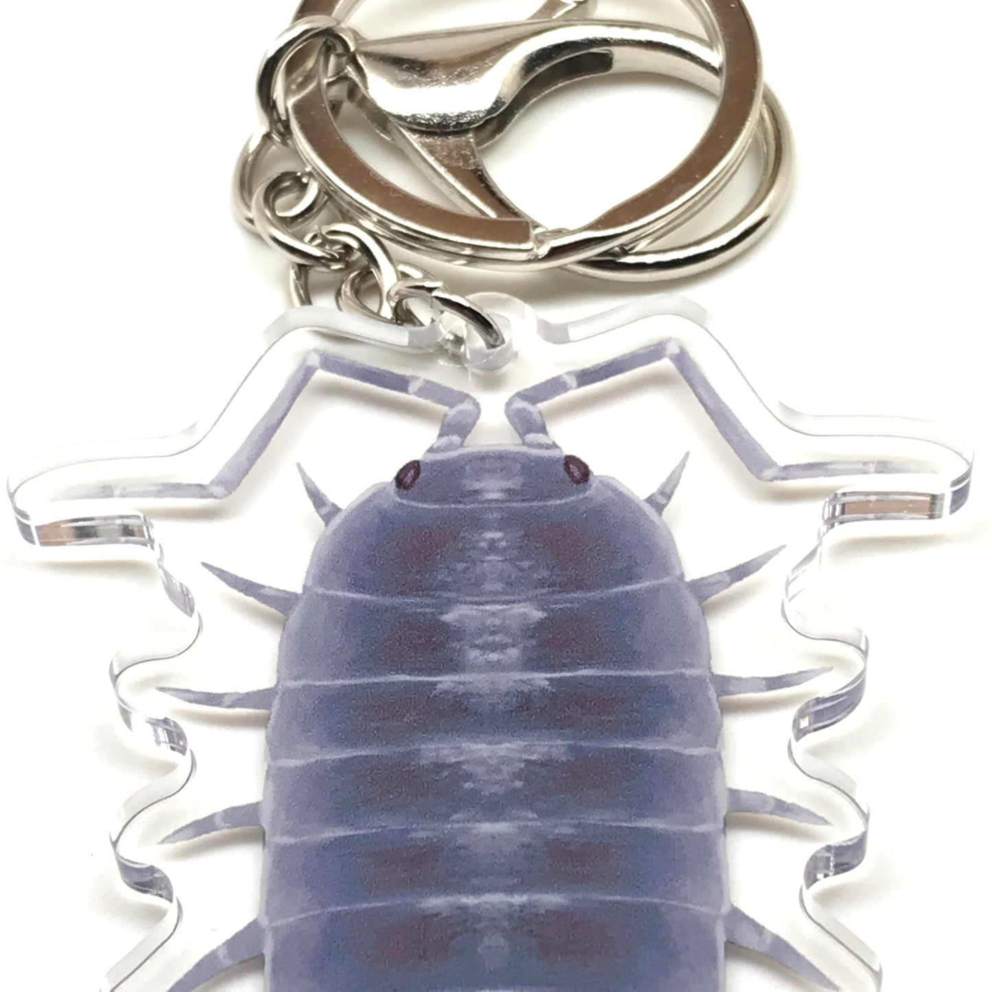 Powder Blue Isopod Keychain, Porcellionides Pruinosus Powder Blue Acrylic Charm from The Silk Ranch