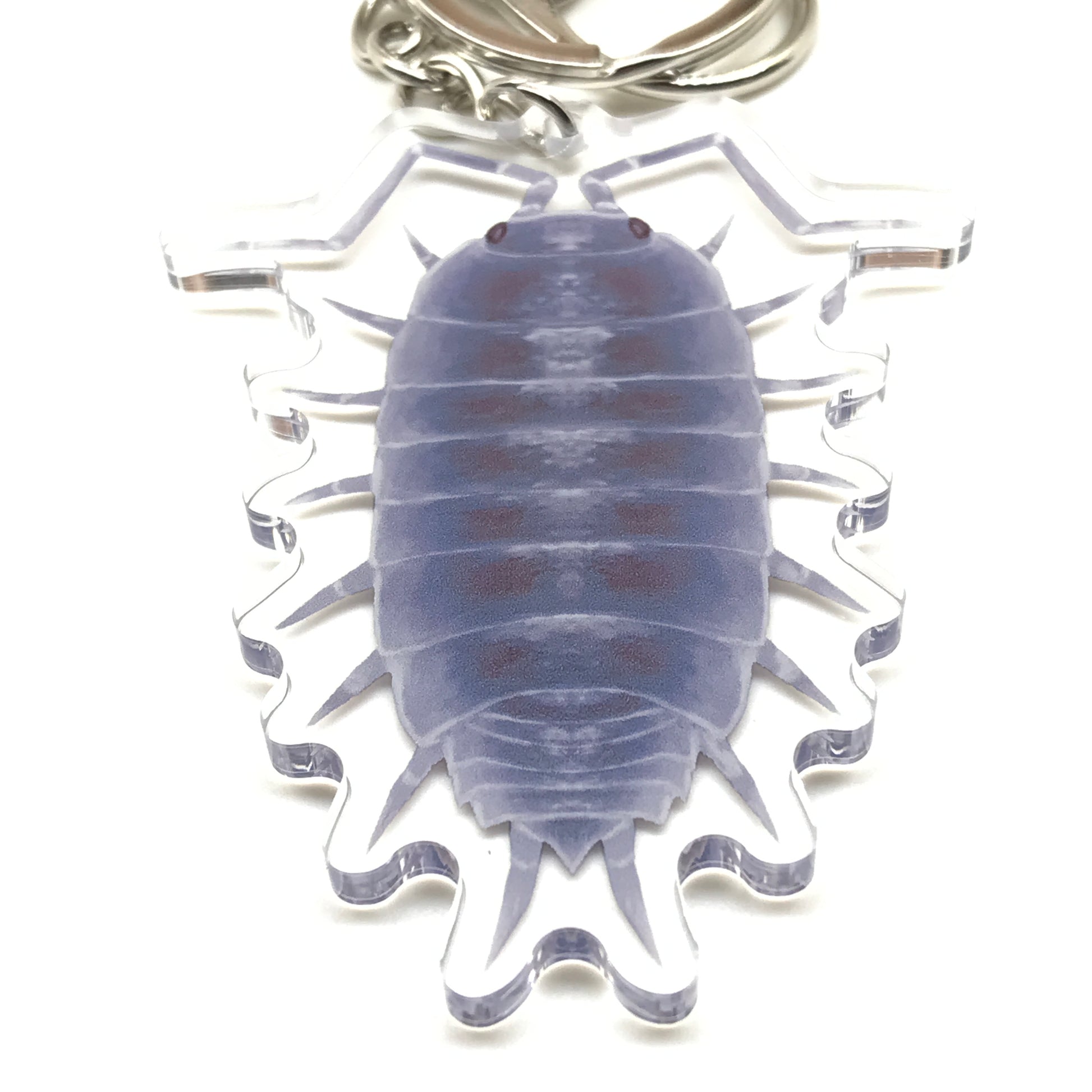 Powder Blue Isopod Keychain, Porcellionides Pruinosus Powder Blue Acrylic Charm from The Silk Ranch