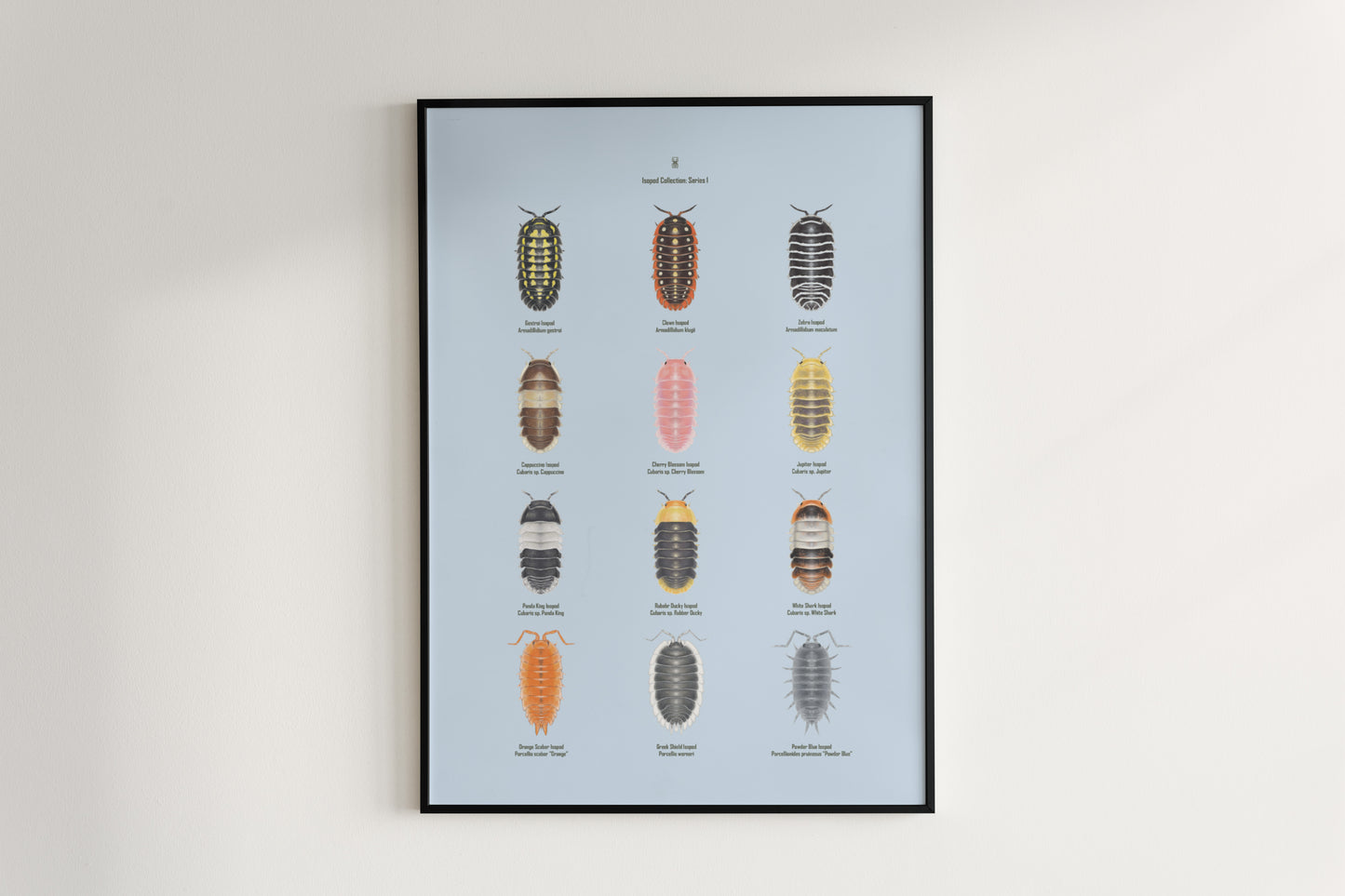 Isopod Series 1 Poster from The Silk Ranch