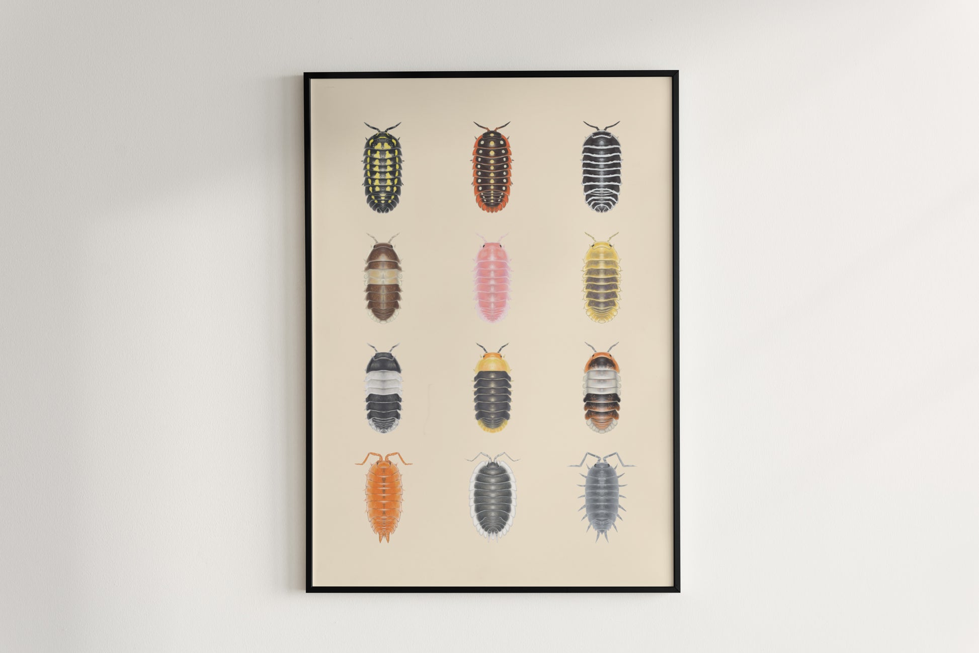 Isopod Series 1 Poster from The Silk Ranch
