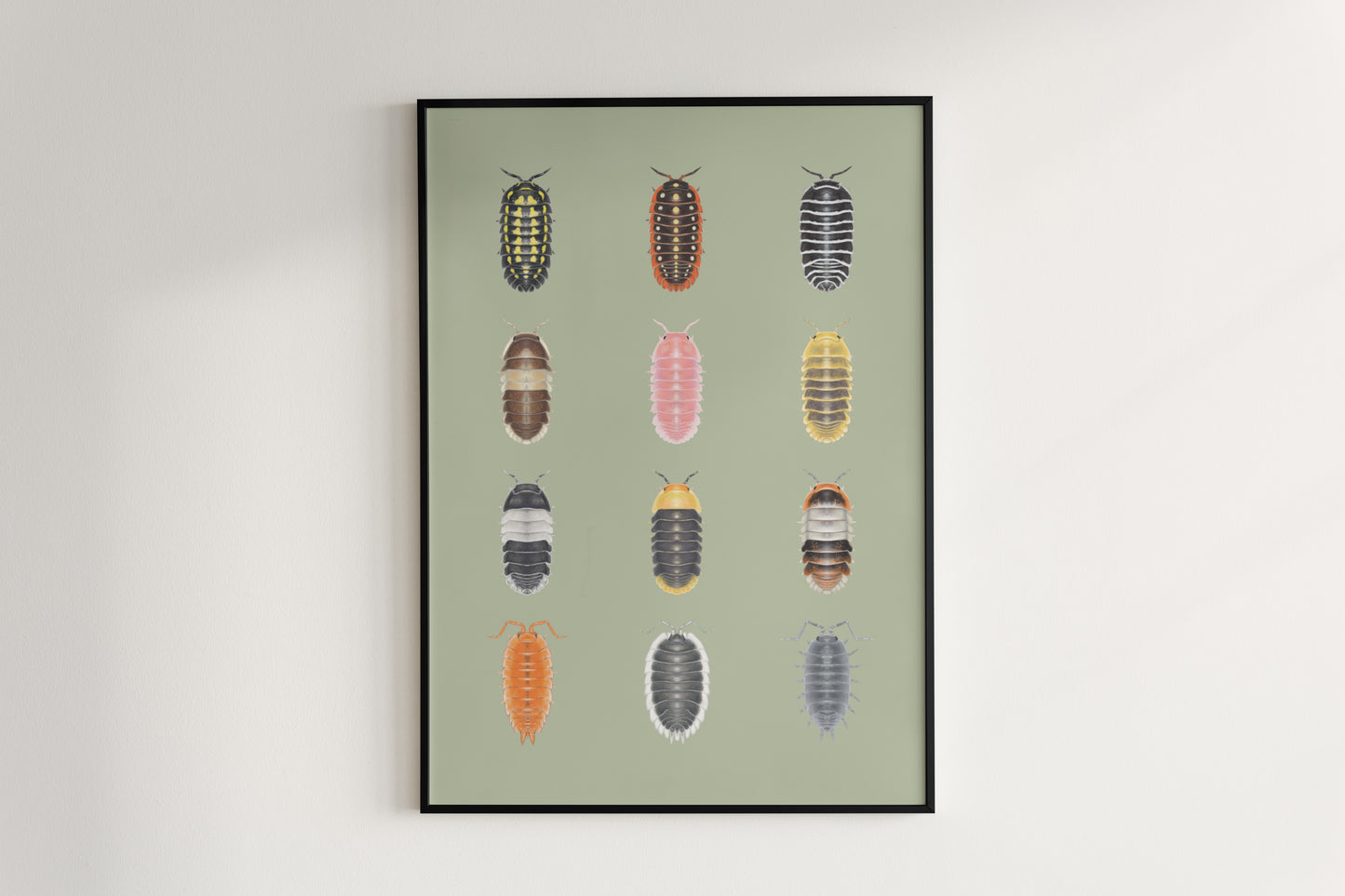 Isopod Series 1 Poster from The Silk Ranch
