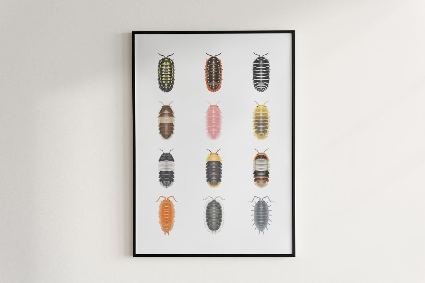 Isopod Series 1 Poster from The Silk Ranch