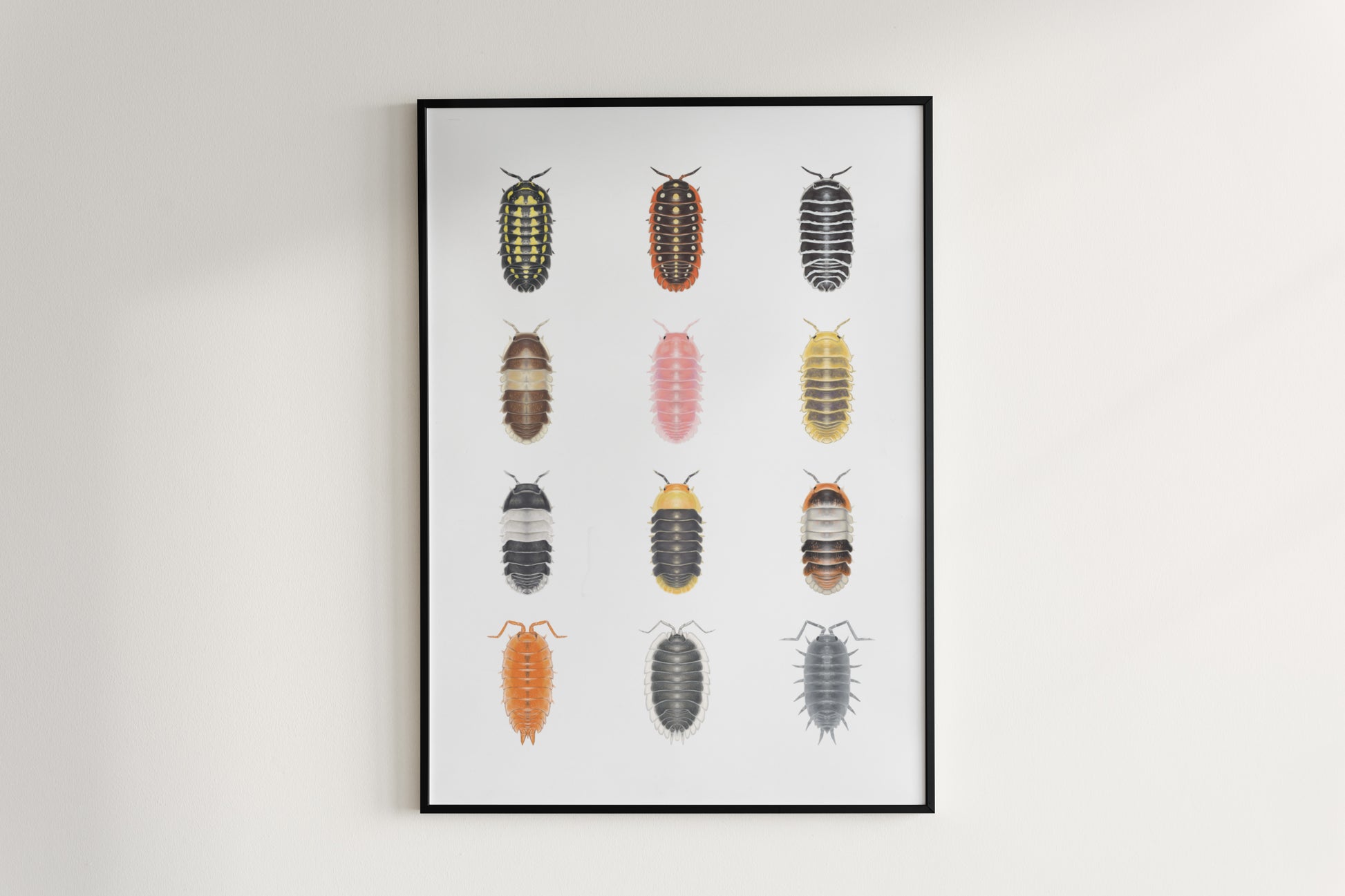 Isopod Series 1 Poster from The Silk Ranch