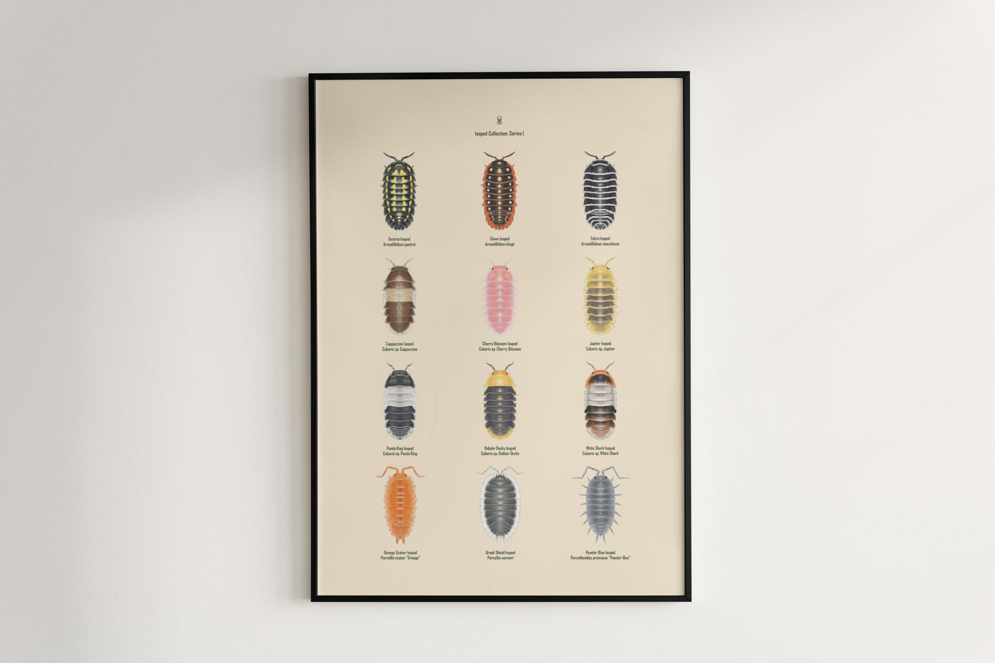 Isopod Series 1 Poster from The Silk Ranch