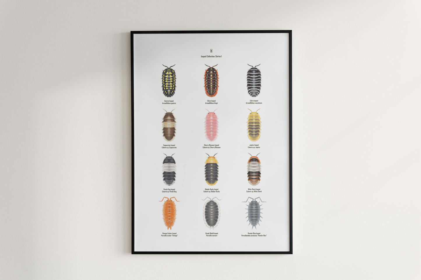 Isopod Series 1 Poster from The Silk Ranch