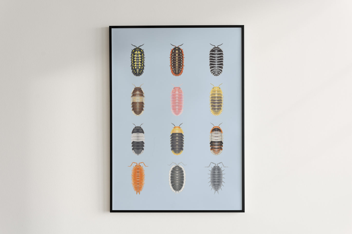 Isopod Series 1 Poster from The Silk Ranch