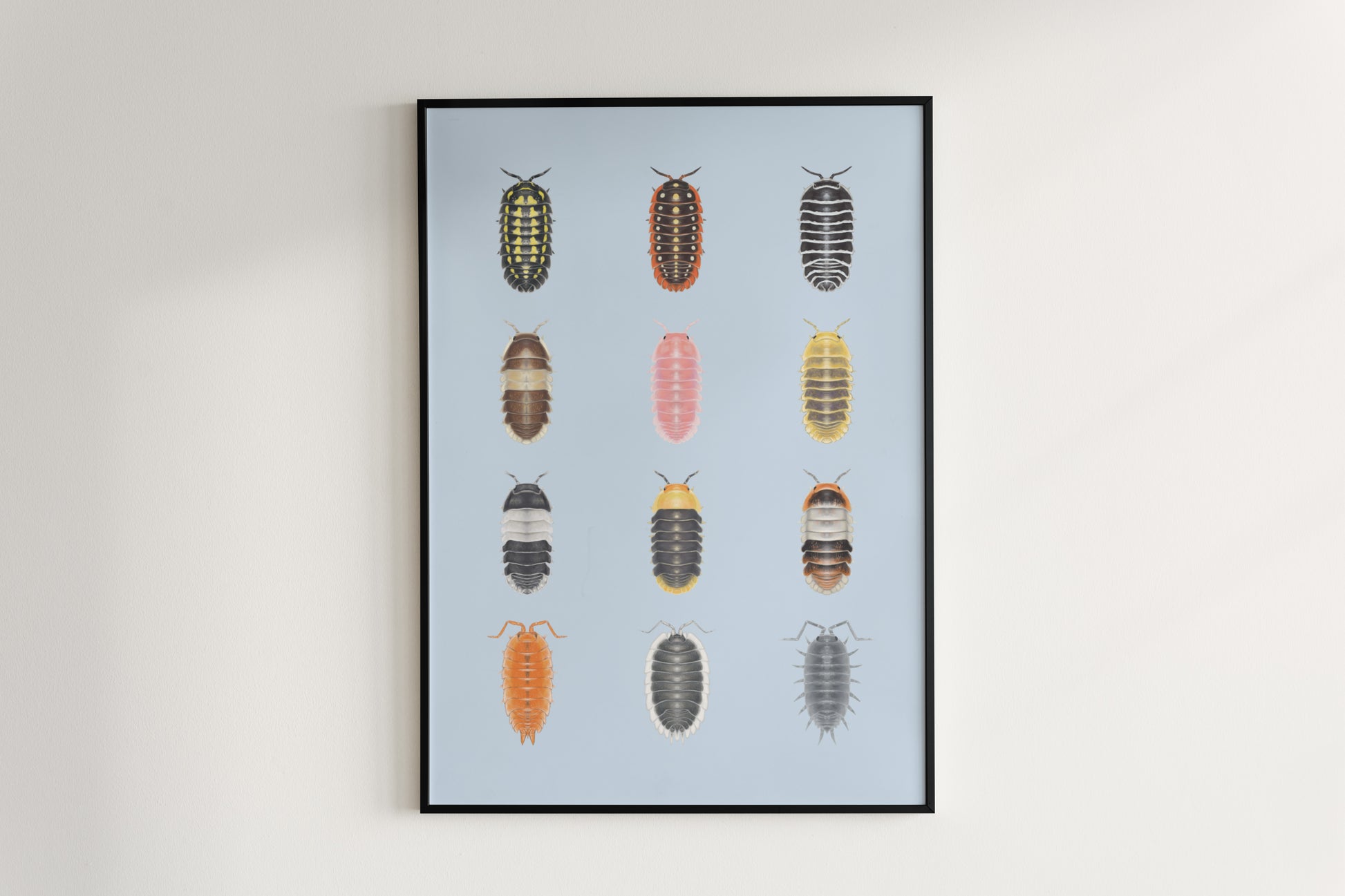 Isopod Series 1 Poster from The Silk Ranch