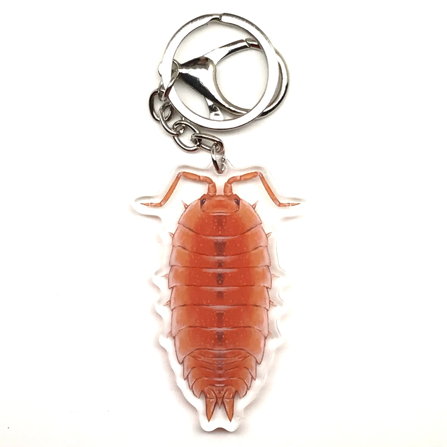 Orange Scaber Isopod keychain featuring a Porcellio scaber acrylic charm with vibrant orange coloration.