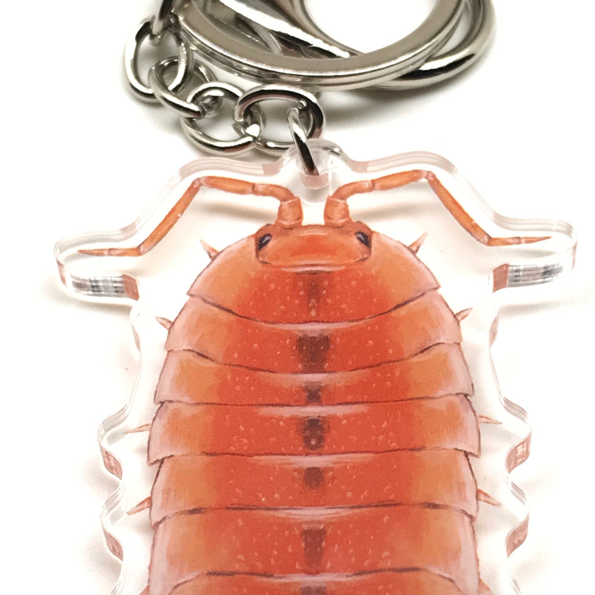 Orange Scaber Isopod keychain featuring a Porcellio scaber acrylic charm with vibrant orange color and detailed design.
