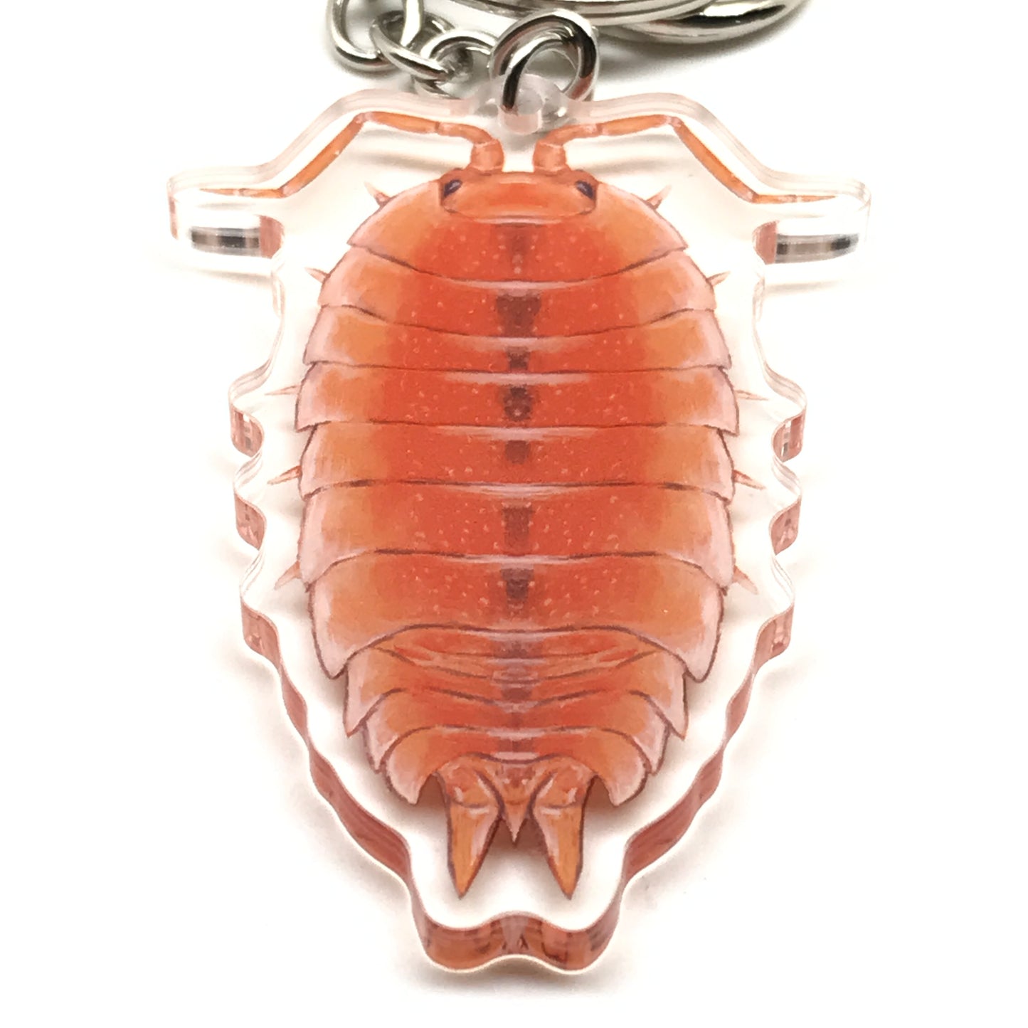 Orange Scaber Isopod keychain with acrylic charm featuring a detailed Porcellio scaber design, by The Silk Ranch.