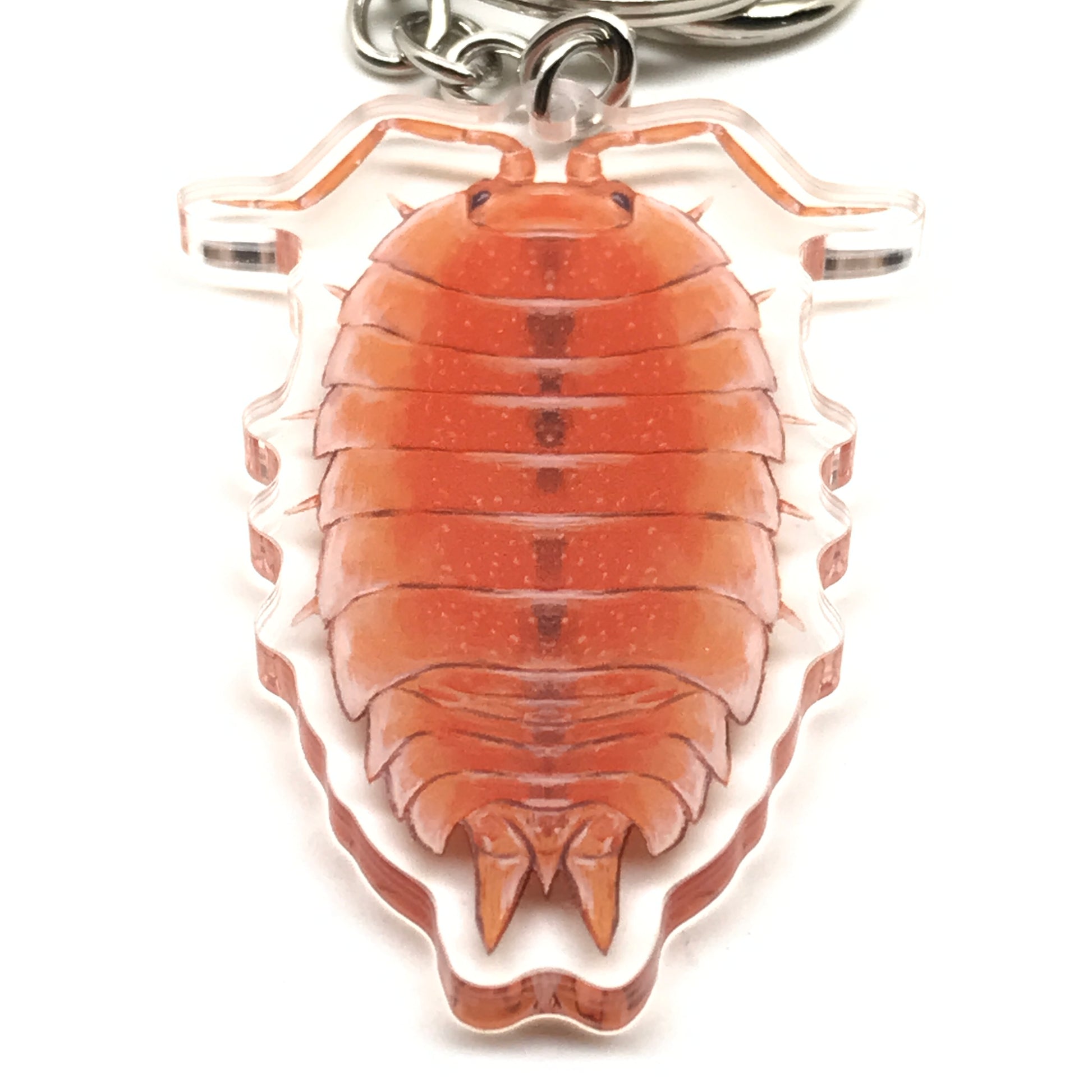Orange Scaber Isopod keychain with acrylic charm featuring a detailed Porcellio scaber design, by The Silk Ranch.