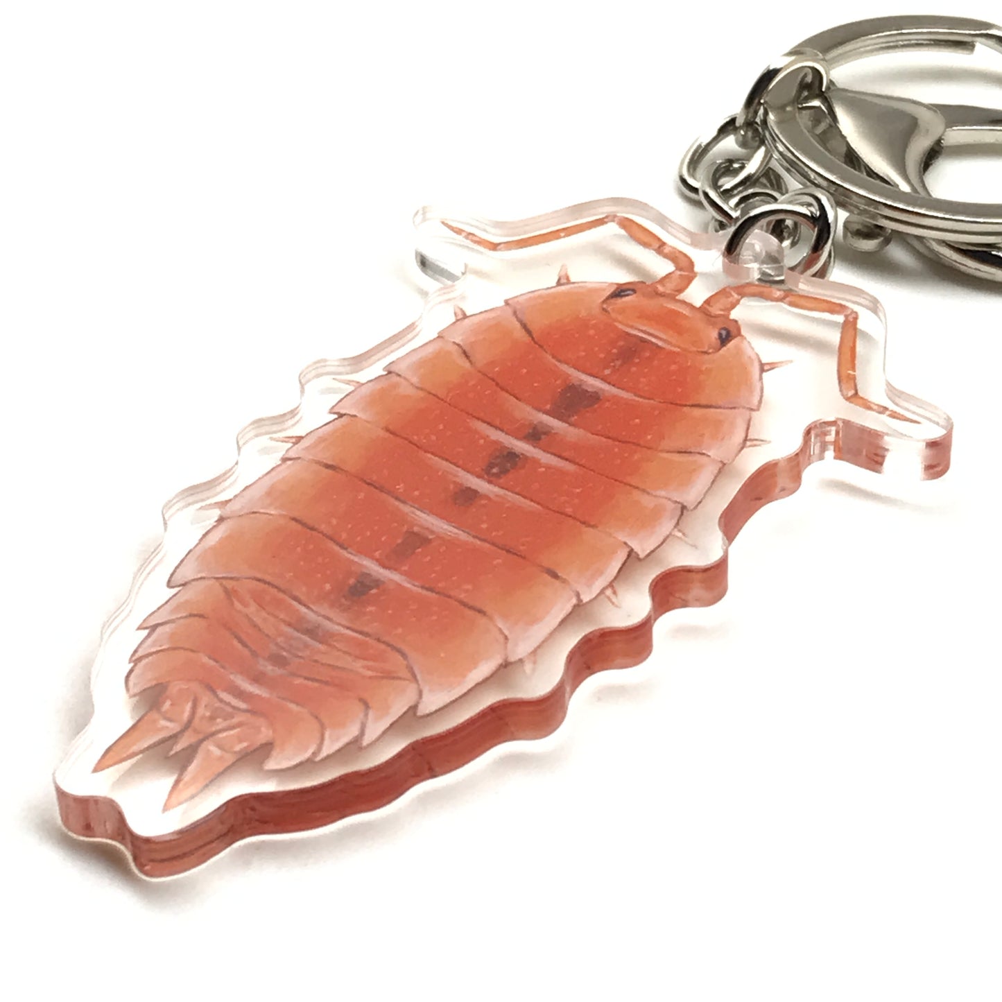 Orange Scaber Isopod keychain featuring a Porcellio scaber acrylic charm with vibrant orange coloration and detailed design.